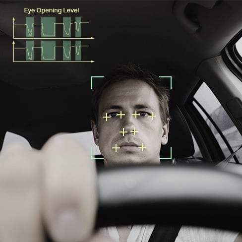 Vehicle-In-Car-Monitoring