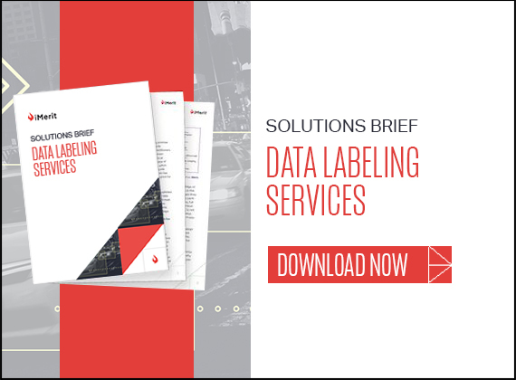 solutions brief data labeling services